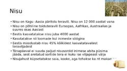 Teraviljapõld #3