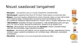 Teraviljapõld #4
