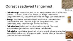 Teraviljapõld #6