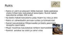 Teraviljapõld #8
