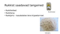 Teraviljapõld #9