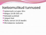 Teekummel #3