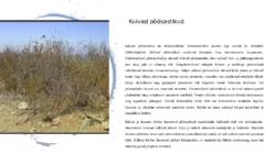Bioomid #6