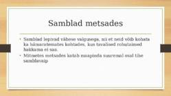Sambla- ja samblikurinne #3