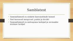 Sambla- ja samblikurinne #5