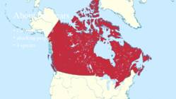 Big bears in Canada #2