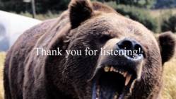 Big bears in Canada #7