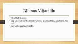 Viljandi lossivaremed #4