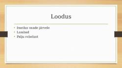 Viljandi lossivaremed #6