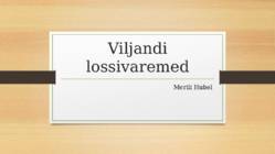 Viljandi lossivaremed