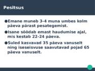 KaelusPapagoi-Psittacula krameri #4