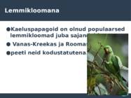 KaelusPapagoi-Psittacula krameri #6