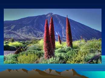 Teide vulkaan #7