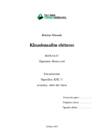 Klaasimaailm ehituses