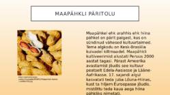 Kultuuritaime presentatsioon-Maapähkel #3