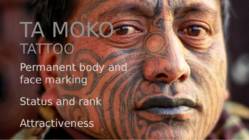 Culture of New Zealand #13