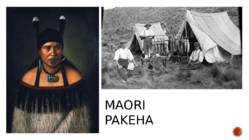 Culture of New Zealand #8