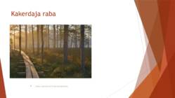 Raba esitlus #2