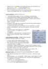 Ainevahetus-fotosüntees-fotosünteesi tähtsus-rakuhingamine-ATP #3