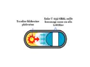 Tuumapomm #6