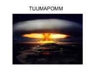 Tuumapomm