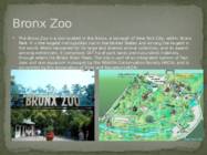 Bronx Zoo #2