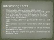 Bronx Zoo #4