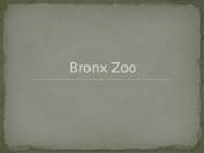 Bronx Zoo