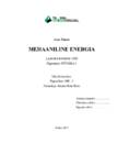 Mehaaniline energia ME11B