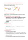 Rakubioloogia 2 #4