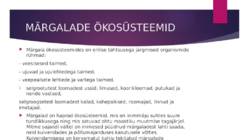 MÄRGALAD EUROOPAS #4