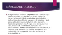 MÄRGALAD EUROOPAS #6