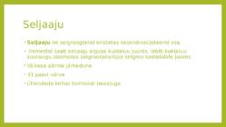 Seljaaju #3