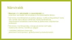 Seljaaju #4
