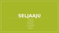 Seljaaju