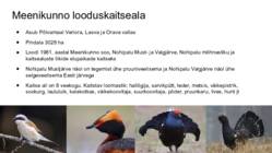Palumaa maastikurajoon #6