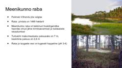 Palumaa maastikurajoon #7