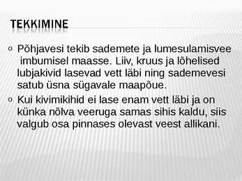 Maasisene vesi #3