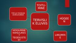 TERVES KEHAS TERVE VAIM #2