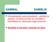 Asulate taimed #6