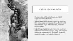 Eluolu suure sõja ajal #5