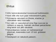 Rakukest esitlus #2