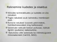 Rakukest esitlus #3