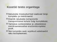 Rakukest esitlus #7