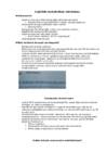 Lipiidide metabolism inimkehas