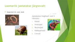 Loomariigi jagunemine #2