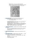 EVOLUTSIOON I #2