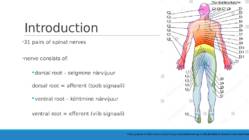 Pinched nerve #2