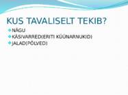 IMIKUTEL KUIV NAHK #3