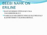 IMIKUTEL KUIV NAHK #4